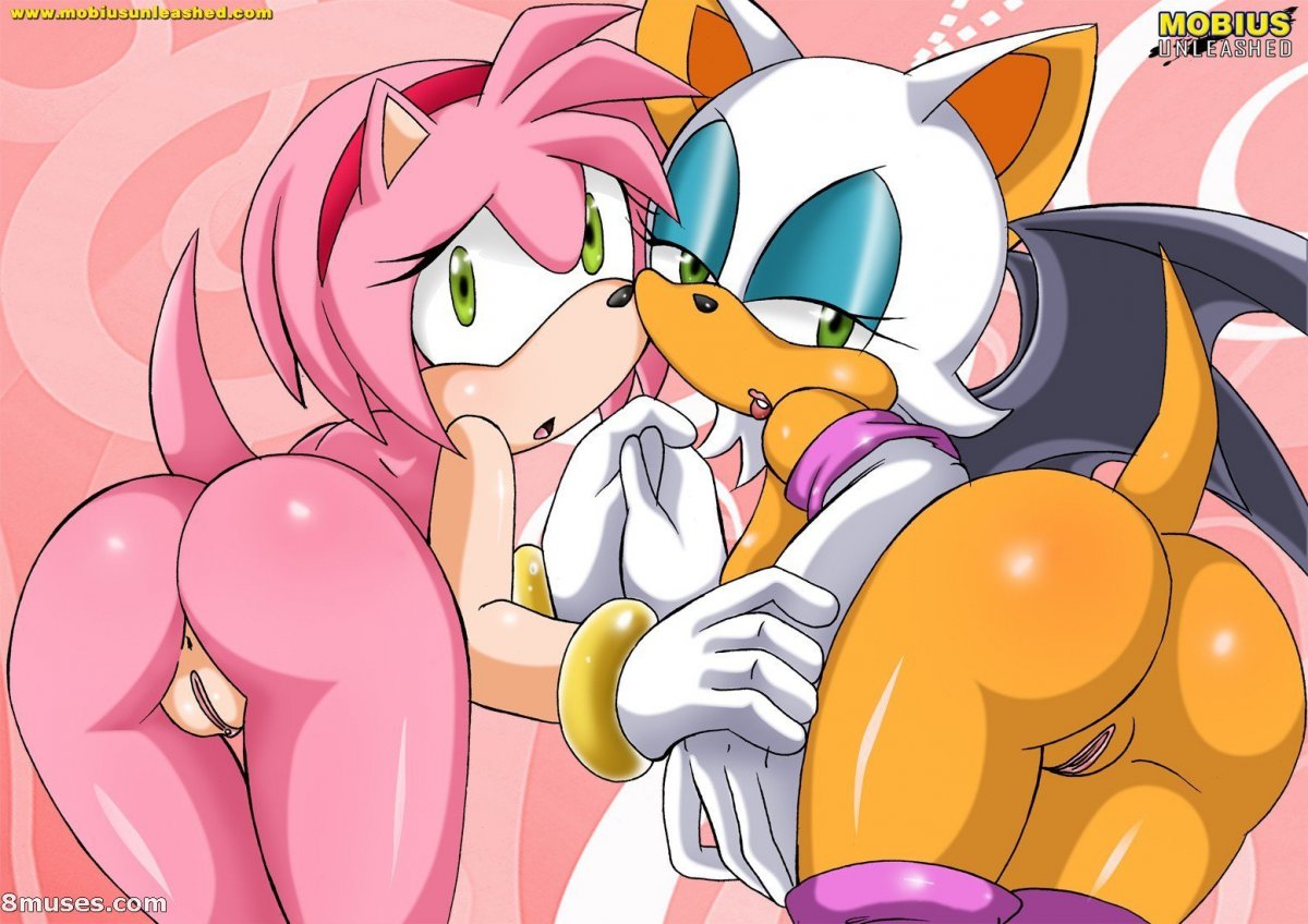 2girls, amy rose, anthro, anthro female, anus, ass, bat, bbmbbf, female, female anthro, fur, furry, furry female, hedgehog, looking back, mobian (species), mobius unleashed, multiple females, multiple girls, nude, palcomix, pink fur, rouge the bat, sega, sonic (series), sonic the hedgehog (series), tail, white fur