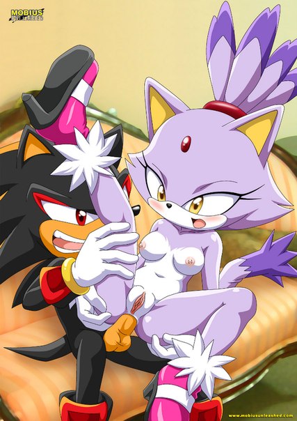 anal, anthro, bbmbbf, black fur, blaze the cat, feline, female, fur, furry, hedgehog, interspecies, male, mobius unleashed, palcomix, purple fur, sega, sex, shadow the hedgehog, sonic (series), sonic the hedgehog (series), straight, white fur