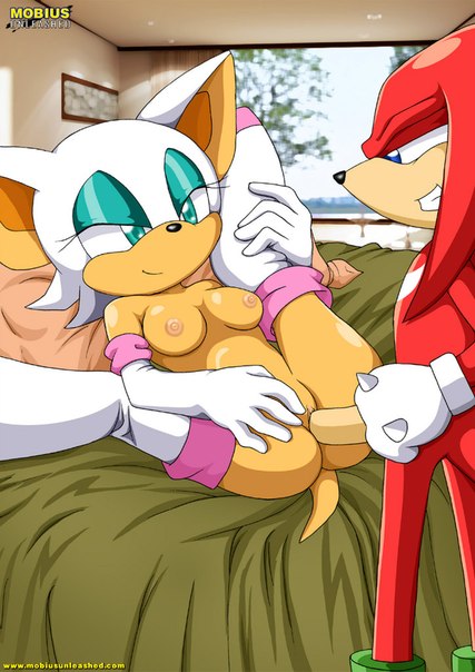 1boy 1girls female inserting insertion knuckles_the_echidna legs_up male missionary missionary_position missionary_sex mobius_unleashed palcomix rouge_the_bat sex sonic_(series)