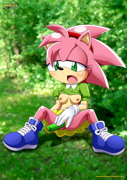 amy_rose classic_amy_rose female mobius_unleashed palcomix rosy_the_rascal_(archie) sega sex_toy sonic_(series) sonic_the_hedgehog_(series)