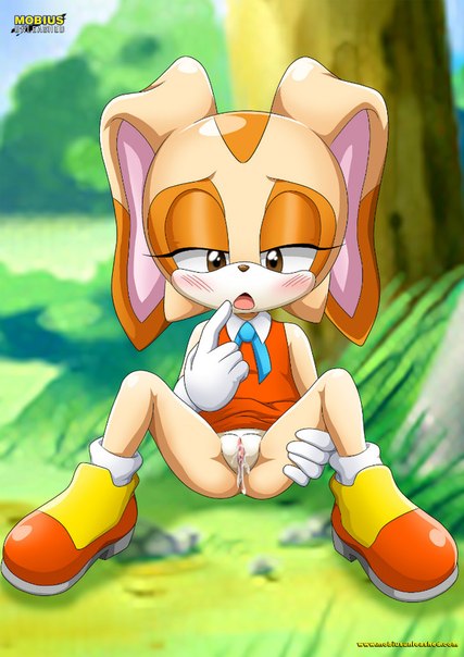 1girls, blush, brown eyes, cream the rabbit, cub, female, lagomorph, mobius unleashed, palcomix, presenting, pussy, pussy juice, rabbit, sega, sonic (series), sonic the hedgehog (series), spread legs, vagina, young