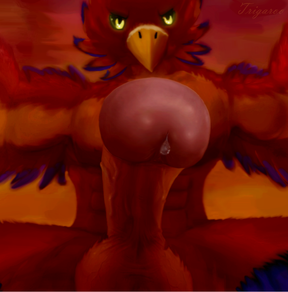 2017 abs anthro avian biceps first_person_view fur genital_focus glans glossy_glans looking_at_viewer low-angle_view male male_only muscular muscular_male pecs penis precum red_fur solo sunset trigaroo vein veiny_penis yellow_eyes