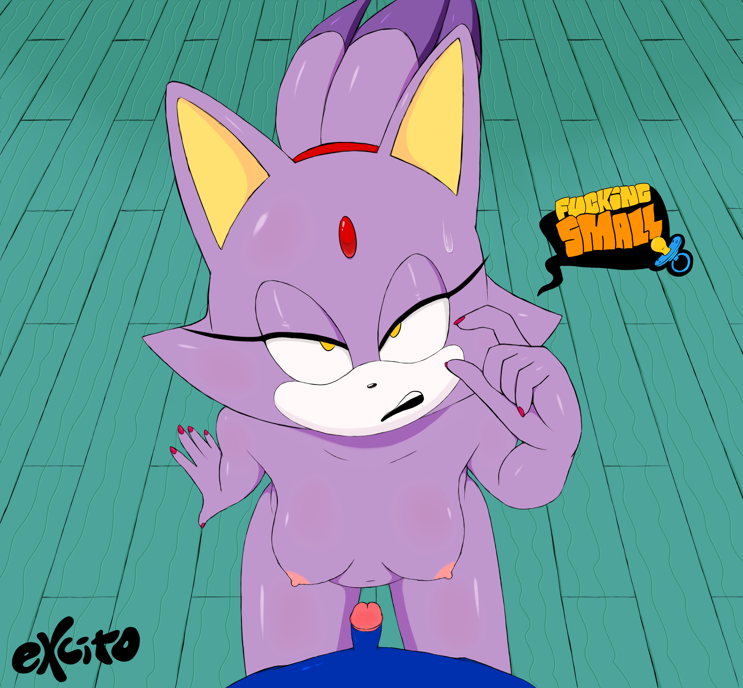 1boy, 1girls, 2017, absurd res, anthro, areola, big breasts, blaze the cat, breasts, duo, english text, erect nipples, erection, excito, feline, female, hedgehog, hi res, humiliation, looking at viewer, male, male pov, mammal, naked, nipples, nude, penis, pinching gesture, pov, sega, small penis, small penis humiliation, sonic (series), sonic the hedgehog, sonic the hedgehog (series), straight, submissive pov, text