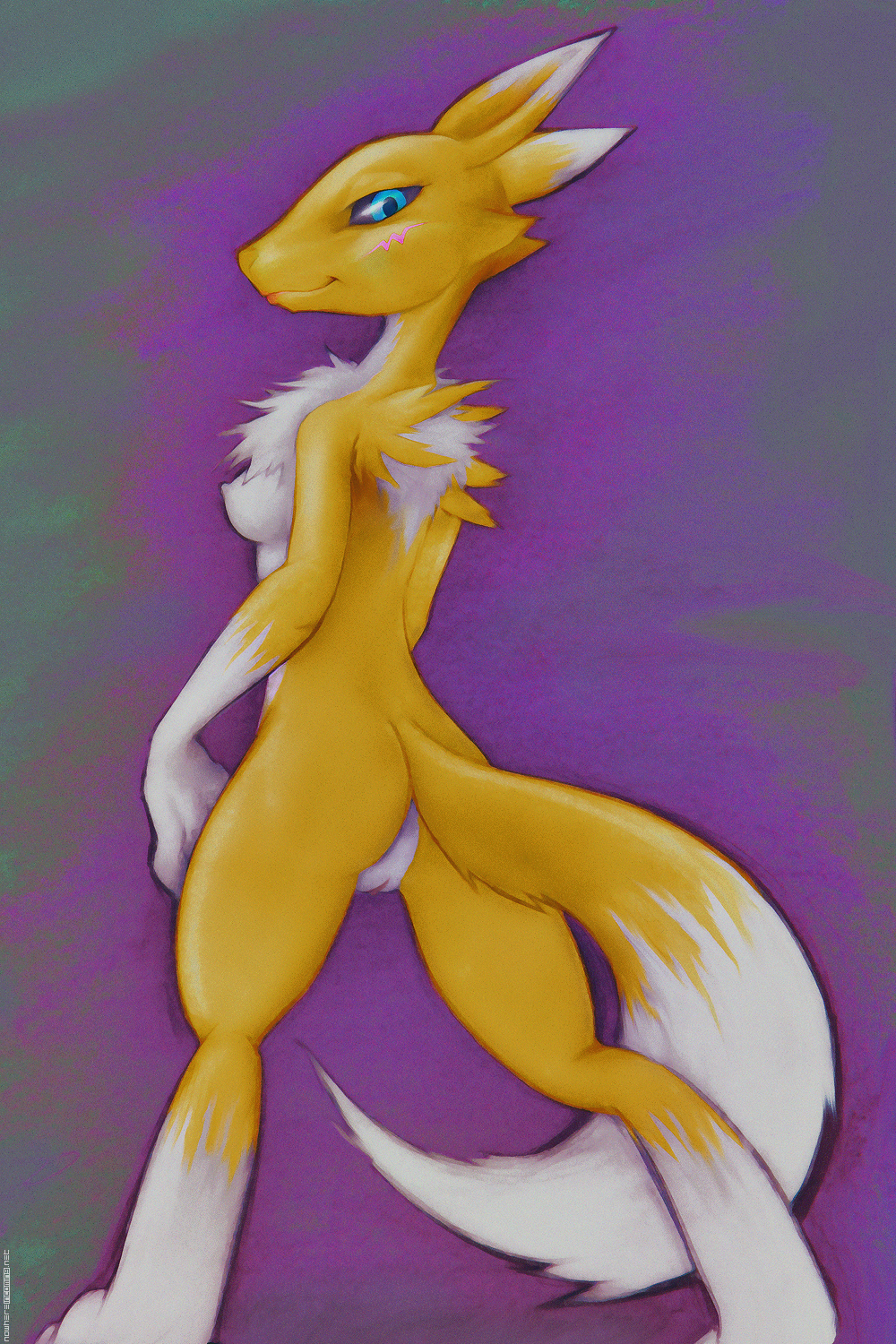 anthro ass breasts darkdoomer digimon female hi_res looking_back mammal nude pussy renamon solo