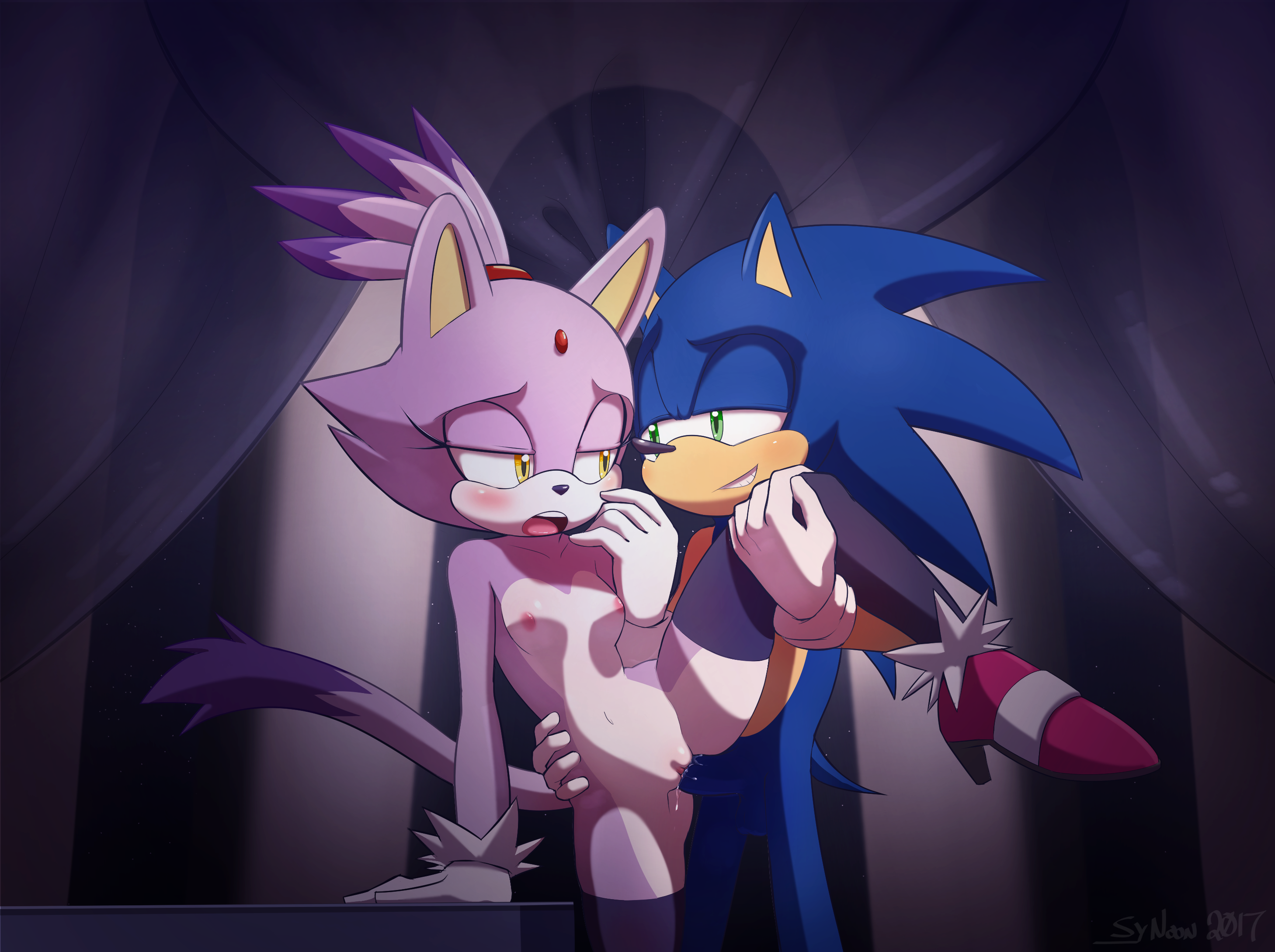anthro, blaze the cat, blue fur, blush, breasts, clothing, dipstick tail, feline, female, from behind, fur, green eyes, hedgehog, interspecies, legwear, male, mammal, multicolored tail, naked, nude, open mouth, penetration, penis, purple fur, pussy, sega, sex, sonic (series), sonic the hedgehog, sonic the hedgehog (series), spread legs, stockings, straight, sy noon, tail, thighhighs, vaginal penetration, yellow eyes