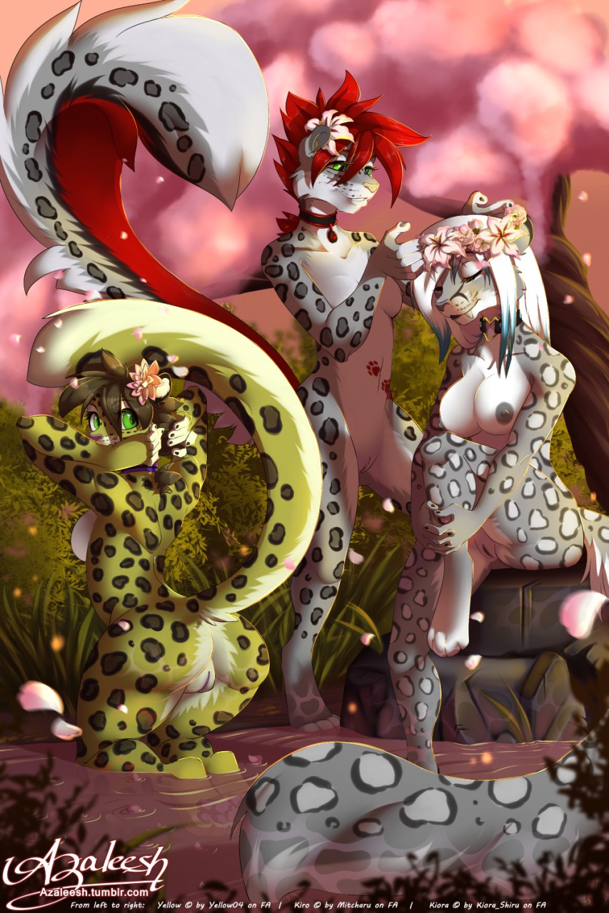 anthro azaleesh bikini breasts cherryblossom clothing collar feline female flower fur furry kiora_shiru kiro leopard mammal nipples paws plant pond pose pussy reflection saber-toothed_cat sabletooth sakura snow_leopard swimsuit water