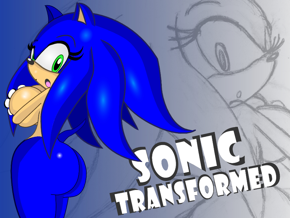 big_ass big_breasts ctrl-z rule_63 sonic_(series) sonic_the_hedgehog sonic_transformed_(series) sonic_transformed_1 sonique_the_hedgehog title_page title_screen