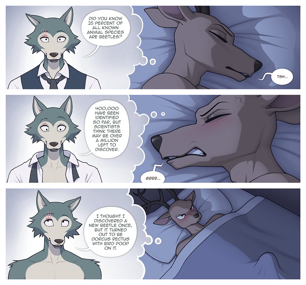 2boys, 2d, angry, angry face, anime, antropomorph, beastars, beetle, comic, deer, dream, erection, erection under blanket, furry, furry only, gay, hard cock, legoshi (beastars), louis (beastars), sigma x, wake up, wolf