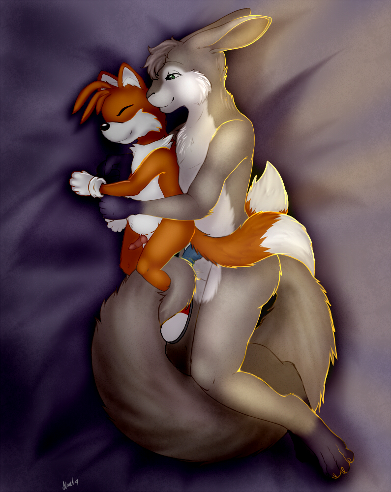 anthro foxxie_softpaws furry male mammal nautilusta penis rodent simple_background sonic_(series) squirrel tails yaoi