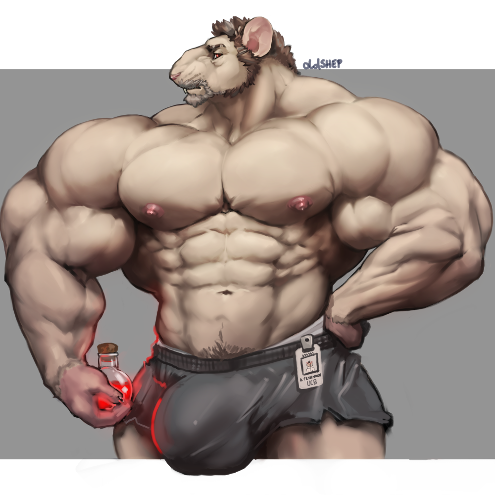 anthro beard bulge clothed clothing facial_hair huge_muscles male male_only mammal muscular muscular_male oldshep pecs pubes rat rodent solo standing topless