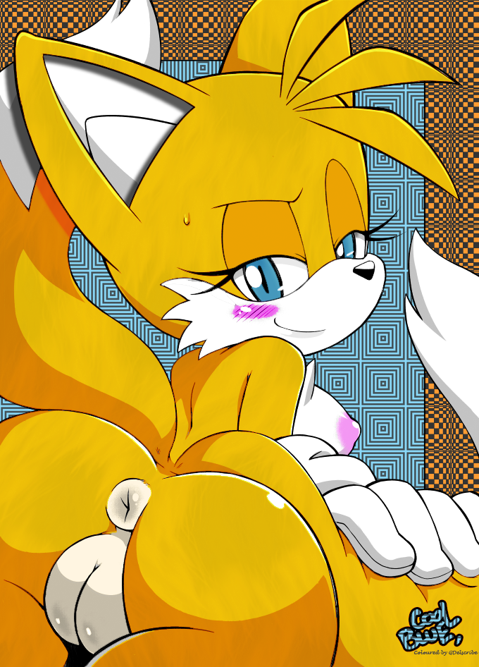 anus canine coolblue exposed_torso female fox fur handwear looking_at_viewer looking_back mammal nipples nude presenting puffy_anus pussy rule_63 simple_background sonic_(series) tails tailsko