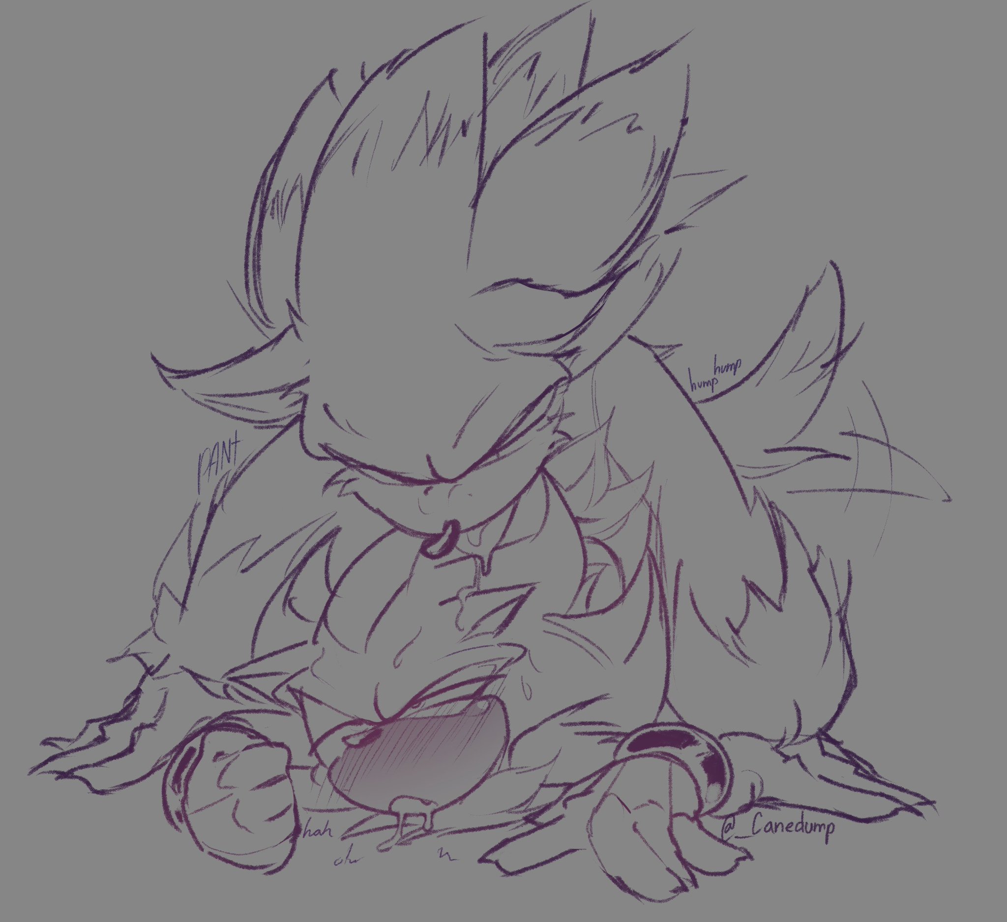 arched back, blush, canedump, cuntboy, cuntboy/male, doggy style, doggystyle, drool, drooling, eyes rolling back, fang, flushed, furry, furry only, gay, hedgehog, shadow the hedgehog, size difference, sonadow, sonic (series), sonic the hedgehog, sonic the hedgehog (series), sonic the werehog, tears, tears of pleasure, yaoi