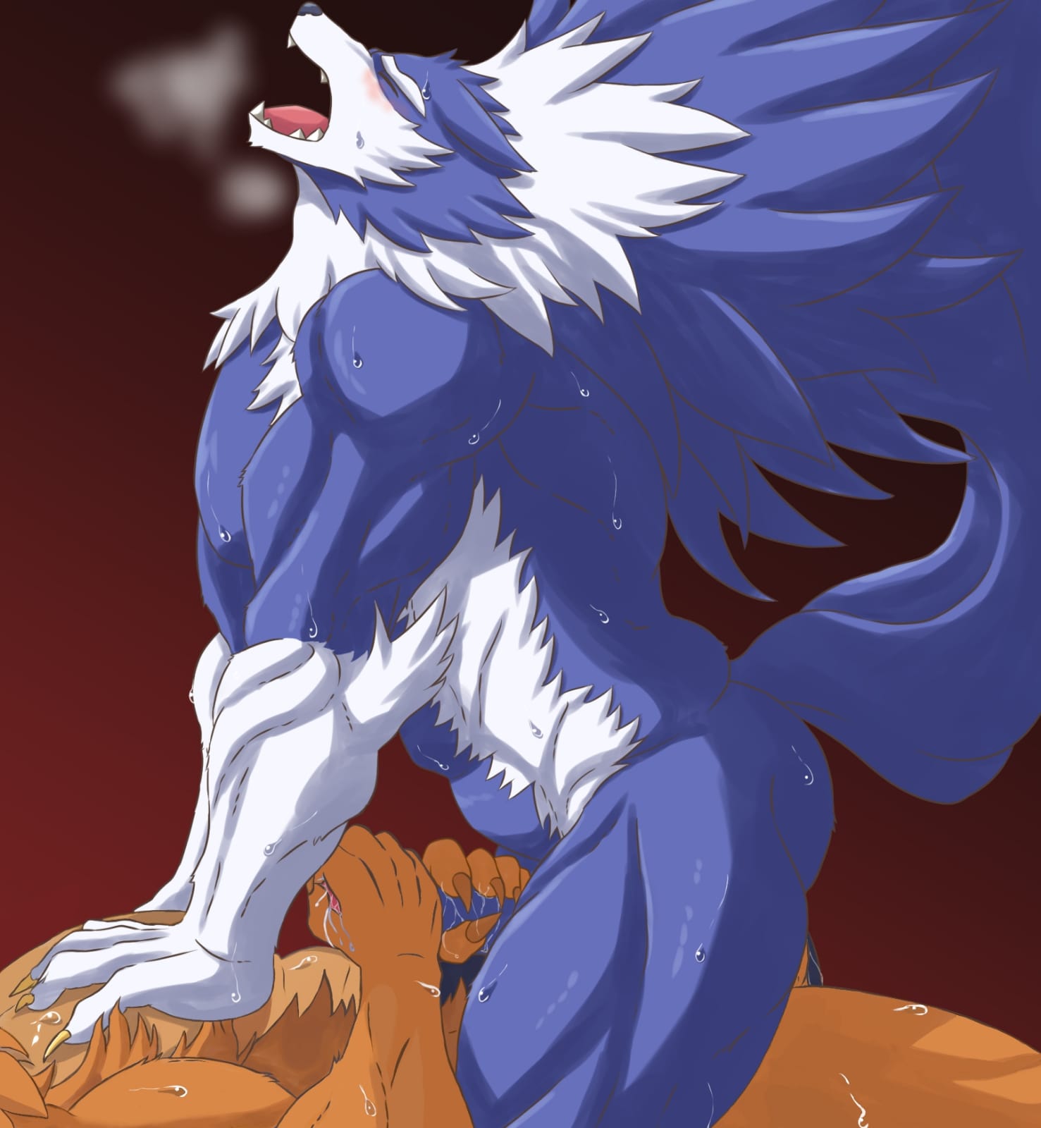 Jackalman (Darkstalkers) Rule 34 Image
