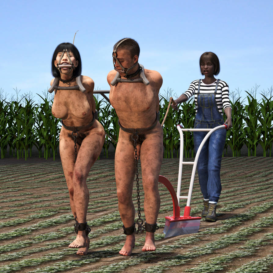 1boy 2girls 3d ankle_cuffs arms_behind_back arms_tied_behind_back barefoot bit_gag bondage both_sexes_in_same_situation bound_ankles breasts chains clothed_female_nude_female clothed_female_nude_male cornfield cuffs dark-skinned_female day fantasytubasa farm farm_work female female_pubic_hair femsub forced_labor gag gagged harness_gag male male_and_female_subs male_pubic_hair malesub multiple_subs nude nude_female nude_male original outdoors overalls penis plow_pulling plowing ponyboy ponygirl ponyplay pubic_hair shackled_ankles shackles slave slave_boy slave_labor slavegirl uncensored waist_cuff wrist_cuffs yoke