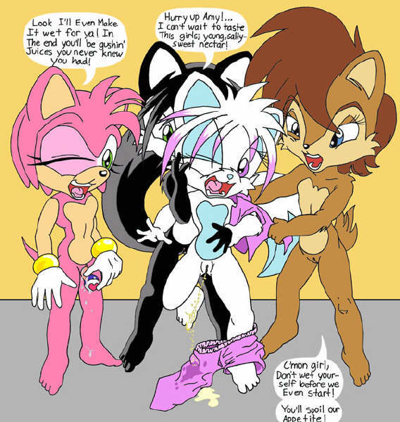 amy_rose archie_comics hershey_the_cat pink_fur sally_acorn sega sonic_(series) straight_hair