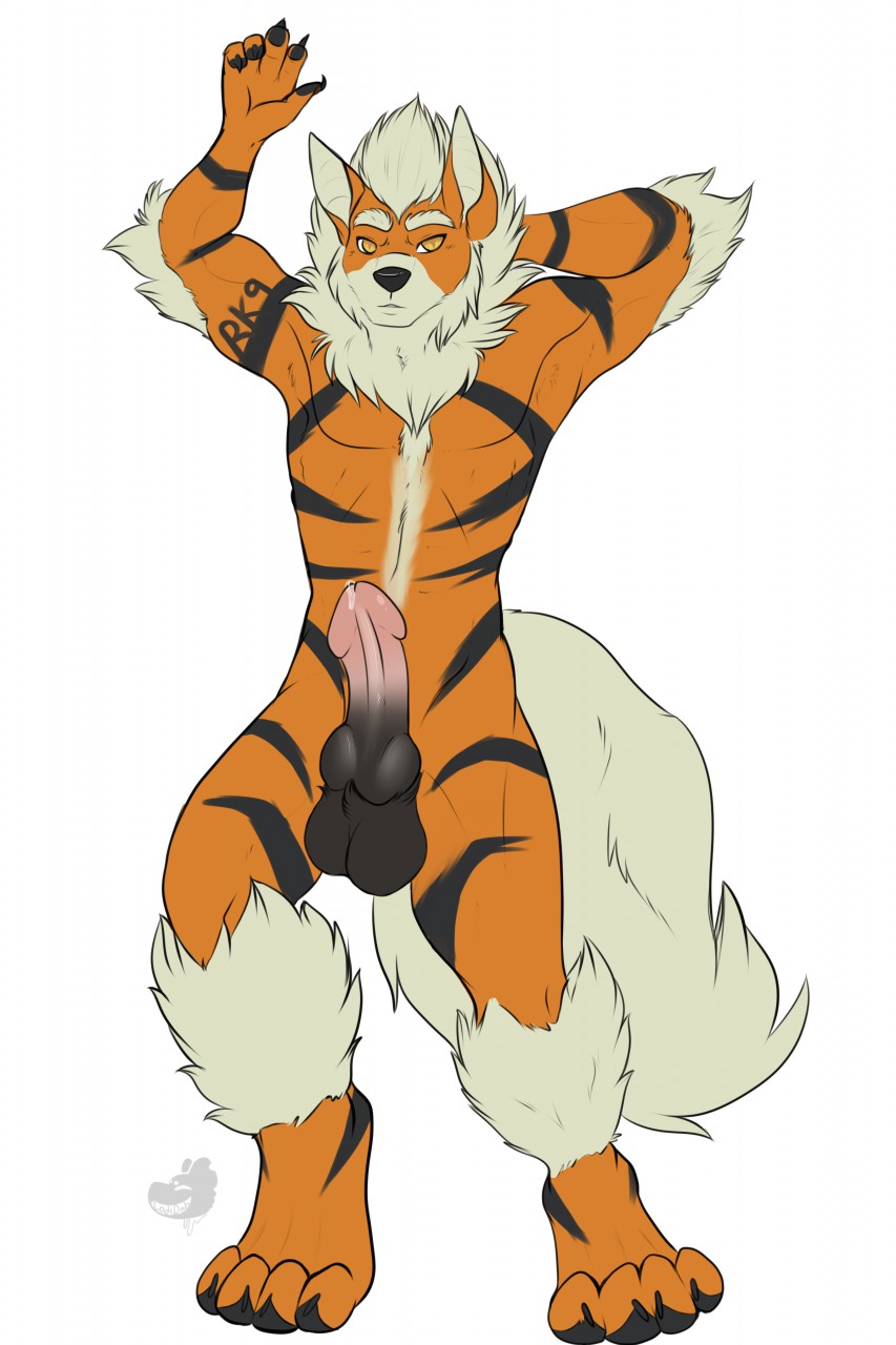 1boy 2014 anthro arcanine canine dowski furry knot lodidah male male_only mammal nintendo penis pokemon pokemon_(species) rk9 solo testicles text video_games watermark