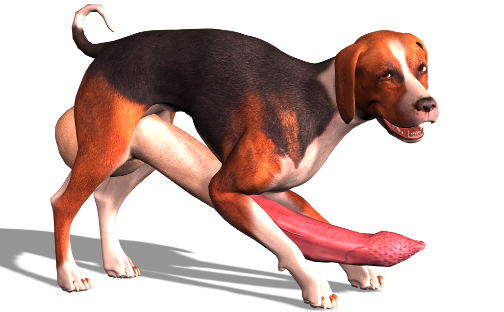 animal_genitalia animal_penis balls beagle canine feline_penis feral fur hyper hyper_penis male_only mammal penis simple_background tapiko