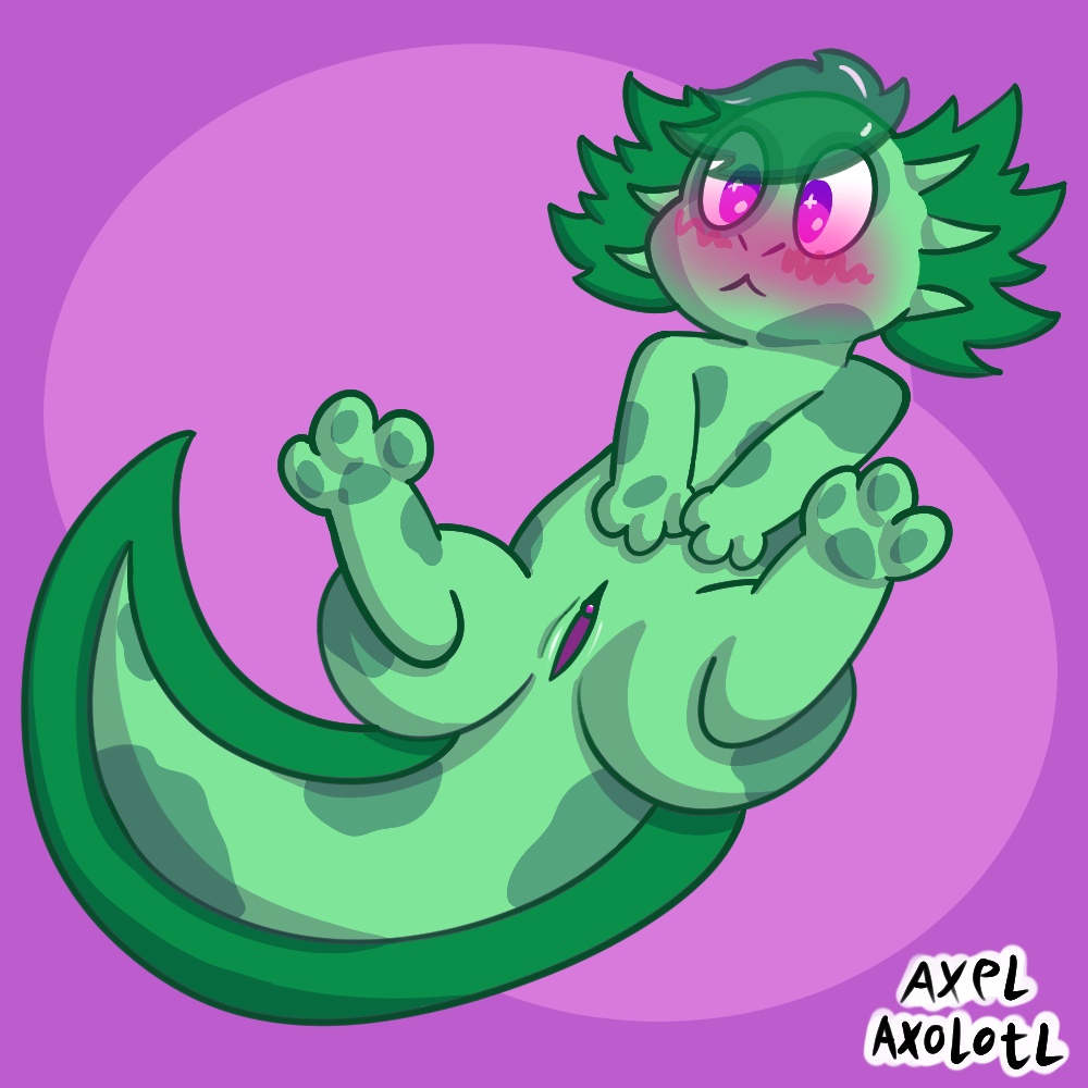 amphibian animal_genitalia axel_axolotl_(artist) axel_the_axolotl axolotl blush cloaca digital_media_(artwork) embarrassed female feral genitals green_body hair marine mole_salamander nude pussy salamander shy simple_background solo tail