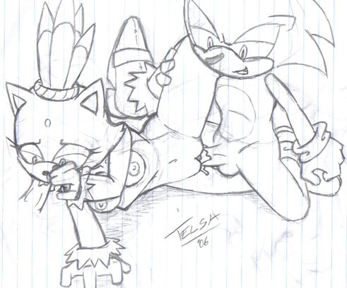 2006 anthro blaze_the_cat cat feline female fur furry hedgehog male mammal sega sonic_(series) sonic_the_hedgehog straight straight_hair telsa