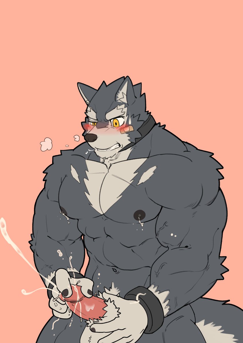 abs anthro big_muscles canine cum fur husky_(artist) koreanhusky male male_only mammal muscular muscular_male nipples pecs penis simple_background