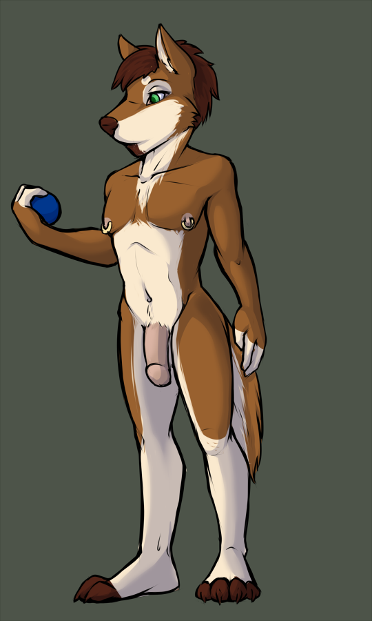 2017 anthro balls canine chris fur hair ivory-raven male male_only mammal nipple_piercing nipples nude penis piercing simple_background solo standing wolf