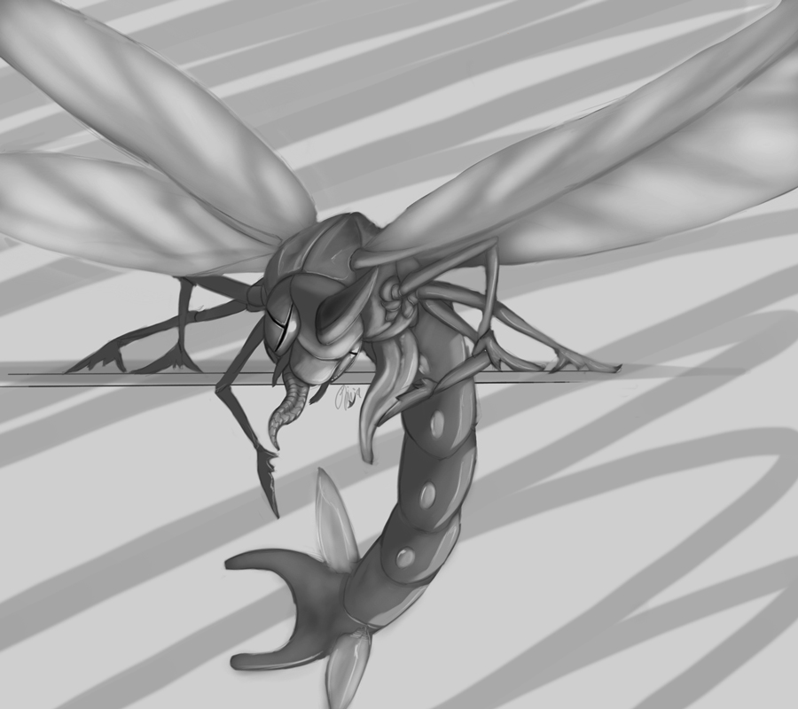 animal_genitalia animal_penis arthropod dragon_fly erection feral grey_background insect_wings insects male male_only masturbation membranous_wings monochrome nintendo nude penis phinja pokemon simple_background solo tongue tongue_out video_games wings yanmega