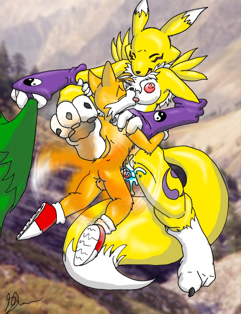 anthro breasts canine crossover digimon female fox fur glenn interspecies male mammal renamon sega sex size_difference sonic_(series) straight straight_hair tagme tail tails