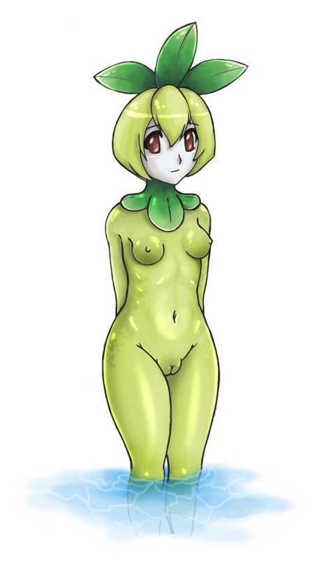 anthro breasts color female green_skin looking_at_viewer nipples nude petilil pokemon pussy re-enn small_breasts solo standing uncensored vulva water white_background