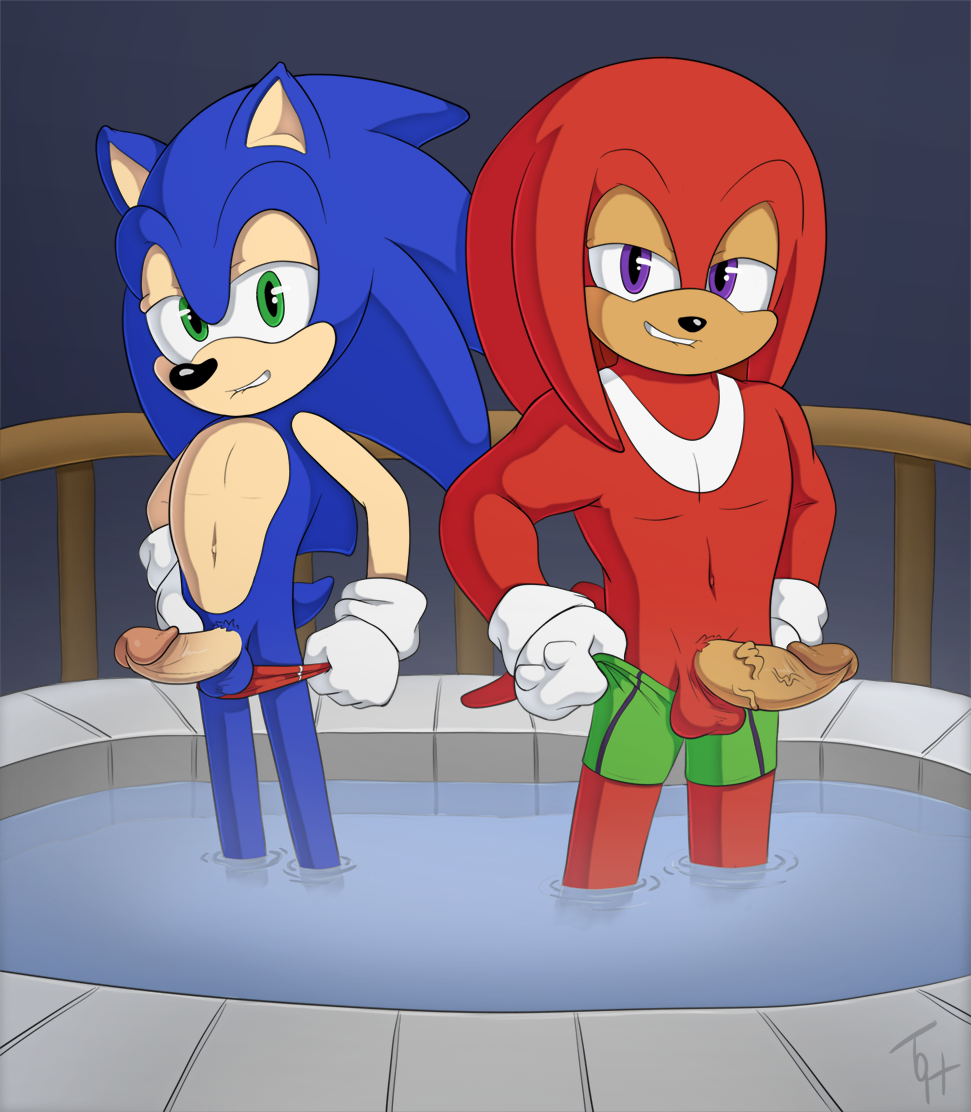 2boys half-closed_eyes knuckles_the_echidna lip_bite lip_biting looking_at_viewer male male_only penis pool seductive_look sonic_(series) sonic_the_hedgehog sonic_the_hedgehog_(series) swimming_pool take_your_pick taking_off testicles the_other_half underwear underwear_around_one_leg