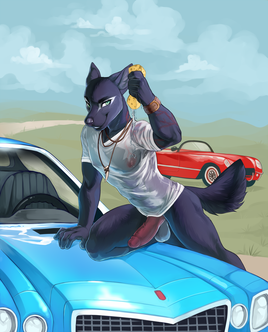 anthro balls bottomless canine car cinder_(cinderfrost) clothed clothing demicoeur erection humanoid_penis looking_at_viewer male male_only mammal nipples penis shirt smile solo vehicle wet_shirt