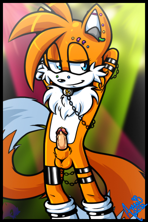 amuzoreh anthro anthrofied armpits balls canine chains chest_tuft collar erection fox fur jewelry male male_only mammal penis pose solo sonic_(series) tails tuft