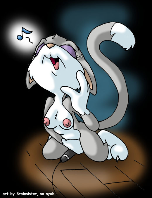 animaniacs anthro brainsister breasts cat colored feline female female_only front_view fur furry furry_only grey_fur masturbation microphone nipples nude rita_(animaniacs) rita_and_runt solo tagme white_fur