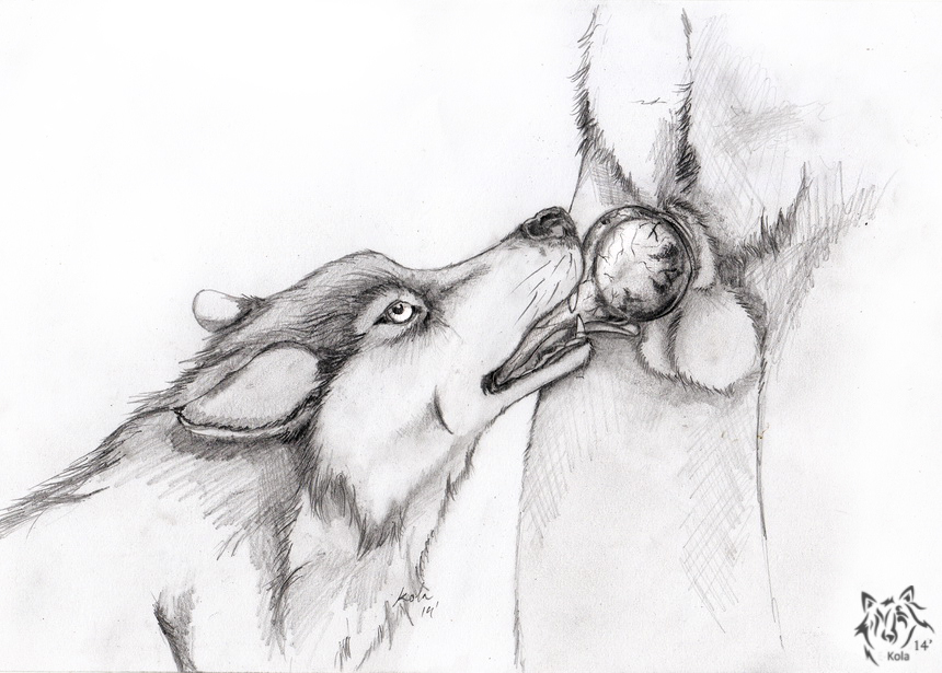 ambiguous_gender ambiguous_penetrated animal_genitalia animal_penis anthro anthro_on_feral anthro_penetrating anthro_penetrating_feral balls canid canine canine_genitalia canine_penis duo ears_back erection fangs feral feral_penetrated genitals knot kola_(artist) male male/ambiguous male_penetrating male_penetrating_ambiguous mammal monochrome oral oral_penetration penetration penis penis_in_mouth pivoted_ears sex side_view simple_background solo_focus standing teeth tongue tongue_out zoophilia