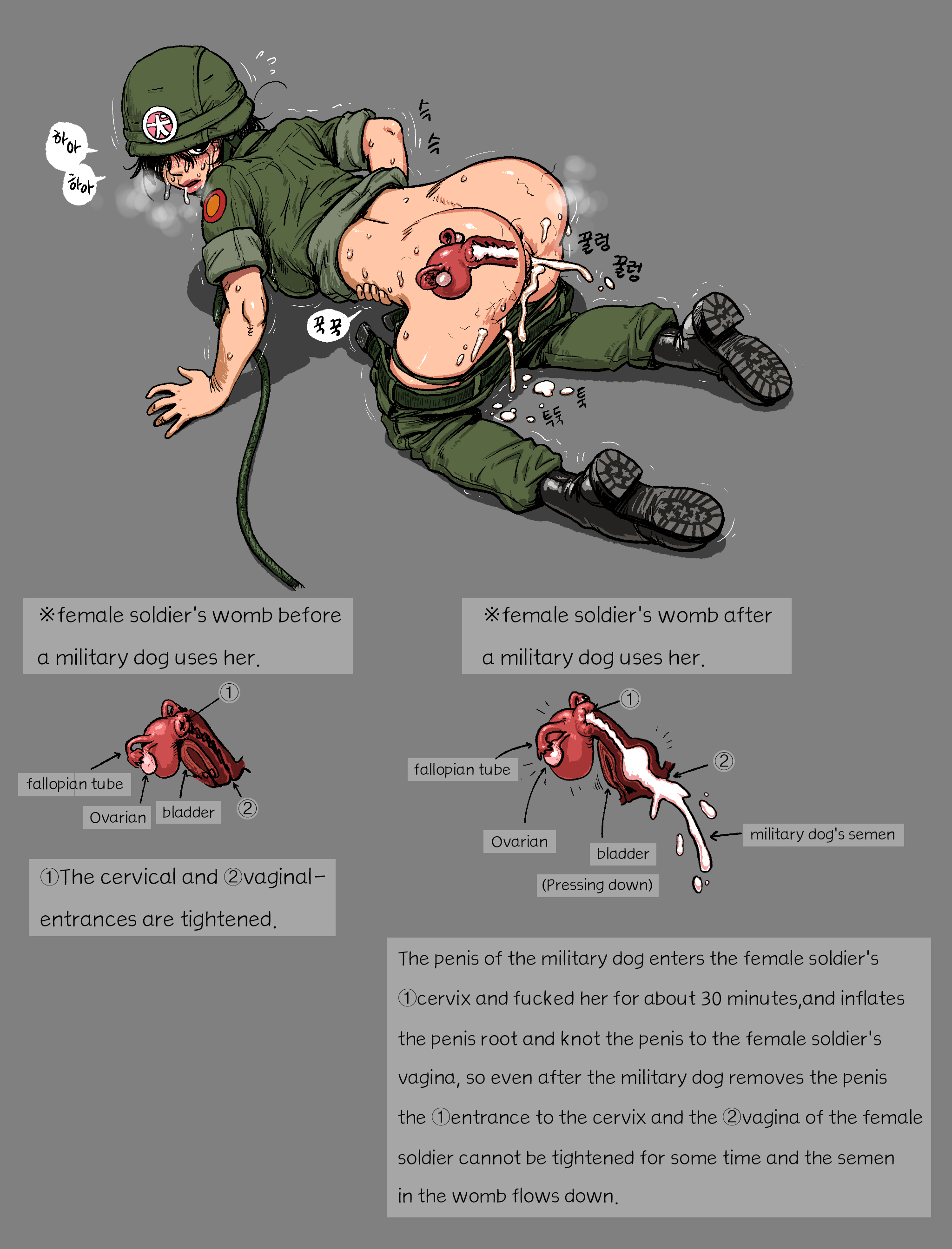 2d, after bestiality, after sex, bestiality, comfort woman, cum, cum in pussy, cum inside, doggy style, female, female soldier, gogocherry, human, human female, human penetrated, imminent bestiality, interspecies, military uniform, pussy, sex slave, uniform, x-ray, zoophilia