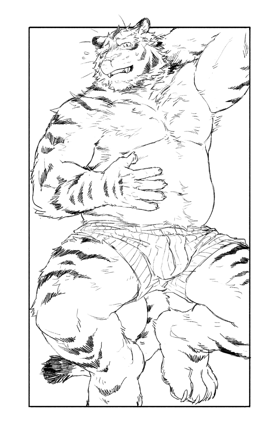 2023 anthro beau_(artist) blush bulge clothed clothing embarrassed felid hand_on_belly hi_res looking_at_viewer lying male mammal monochrome on_back one_eye_closed pantherine slightly_chubby slightly_chubby_anthro slightly_chubby_male solo tail tiger underwear underwear_only