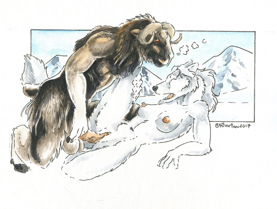 2017 anthro balls bovine breasts brown_eyes brown_fur canine closed_eyes crouching duo female fur heather_bruton hooves horn interspecies leg_grab male mammal mountain muskox nipples nude one_leg_up open_mouth penetration predator/prey sex simple_background straight vaginal_penetration white_background white_fur wolf