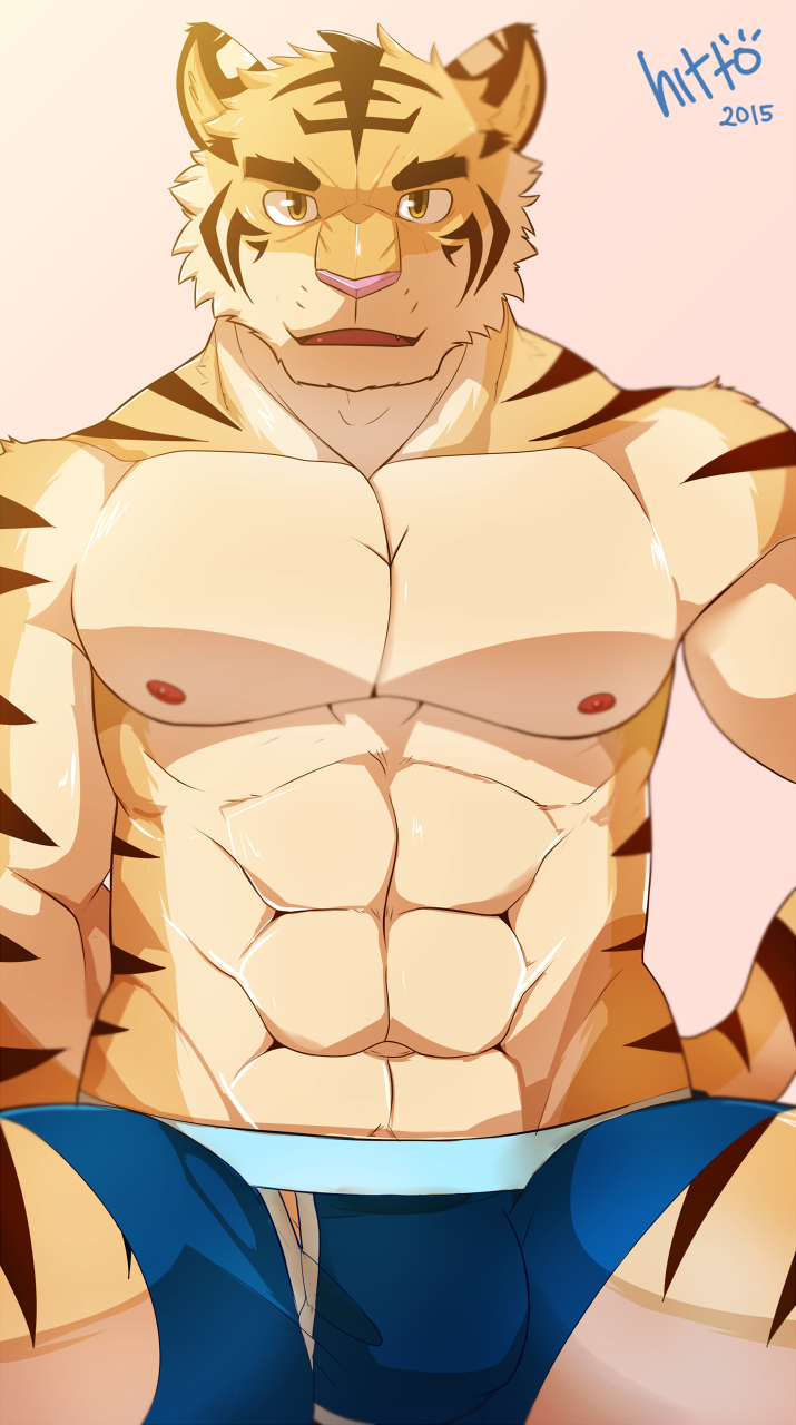 2015 black_fur boxers_(clothing) brown_eyes bulge clothing feline fur hittoga male male_only mammal navel nipples open_mouth pink_nose solo tiger underwear yellow_fur