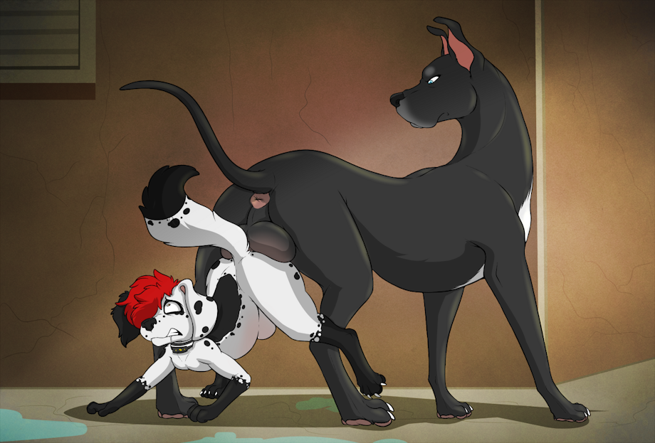 2boys adult adult_and_cub adult_male all_fours anal anal_sex anal_sex animal_anus anus balls black_body black_fur blair_(marrionette) blue_eyes canid canine canine_anus canis claws clenched_teeth collar commission cub cub_male cub_penetrated dalmatian digital_drawing_(artwork) digital_media_(artwork) dog_collar domestic_canine domestic_dog drool drooling feral feral_focus feral_male feral_on_feral feral_only feral_penetrated feral_penetrating feral_penetrating_feral fluffy fluffy_hair fluffy_tail gay gay_sex great_dane hair_covering_eye hair_covering_one_eye hair_over_eye hair_over_one_eye hi_res high_resolution highres hind_legs hindlegs knotted knotting large_male larger_male looking_at_partner looking_back looking_back_at_partner looking_up male male/male male_canine male_cub male_dog male_duo male_feral male_focus male_only male_penetrated male_penetrating male_penetrating_male older older_male older_male_and_younger_male older_penetrating_younger pawpads paws penetration penetration_from_behind pink_anus psy101 raised_tail red_hair sex sex_from_behind shock_collar simple_background size_difference smaller_male spots spotted_body spotted_fur stomach_bulge t-bone_(psy101) tail tail_raised teeth_clenched toe_claws toes white_body white_fur yellow_eyes young younger_male