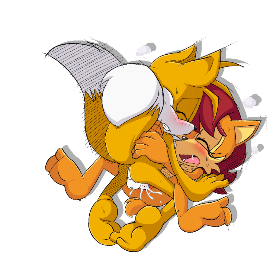 cum cum_in_pussy nipple penis pussy sally_acorn sonic_(series) tails vaginal_penetration zkh59