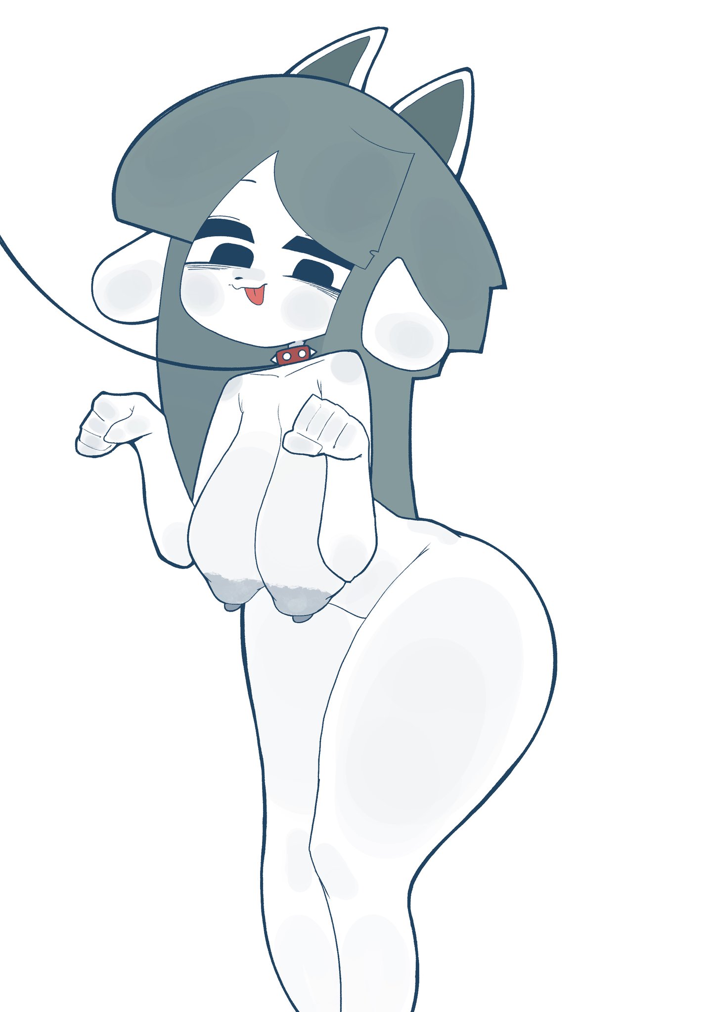 big breasts, breasts, collar, female focus, furry, furry female, hss dada, huge breasts, nude, nude female, petplay, temmie, temmie (undertale), undertale, white body, white fur