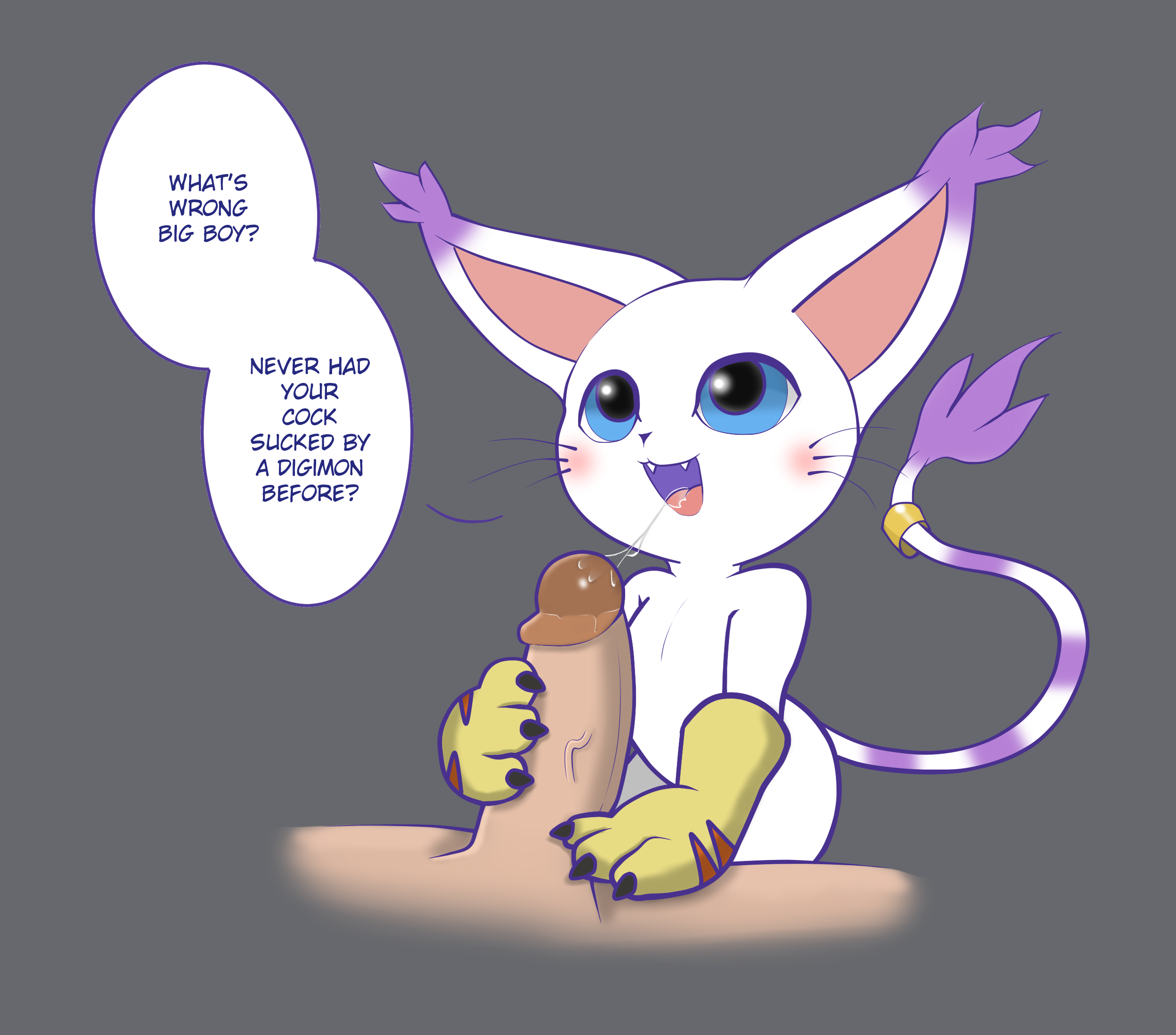 2017, after oral, blue eyes, blush, clothing, digimon, english text, erection, feline, fellatio, female, fur, gatomon, gloves, interspecies, kekitopu, male, mammal, nude, open mouth, oral, oral penetration, penis, simple background, straight, tailmon, teeth, text, tongue, white fur