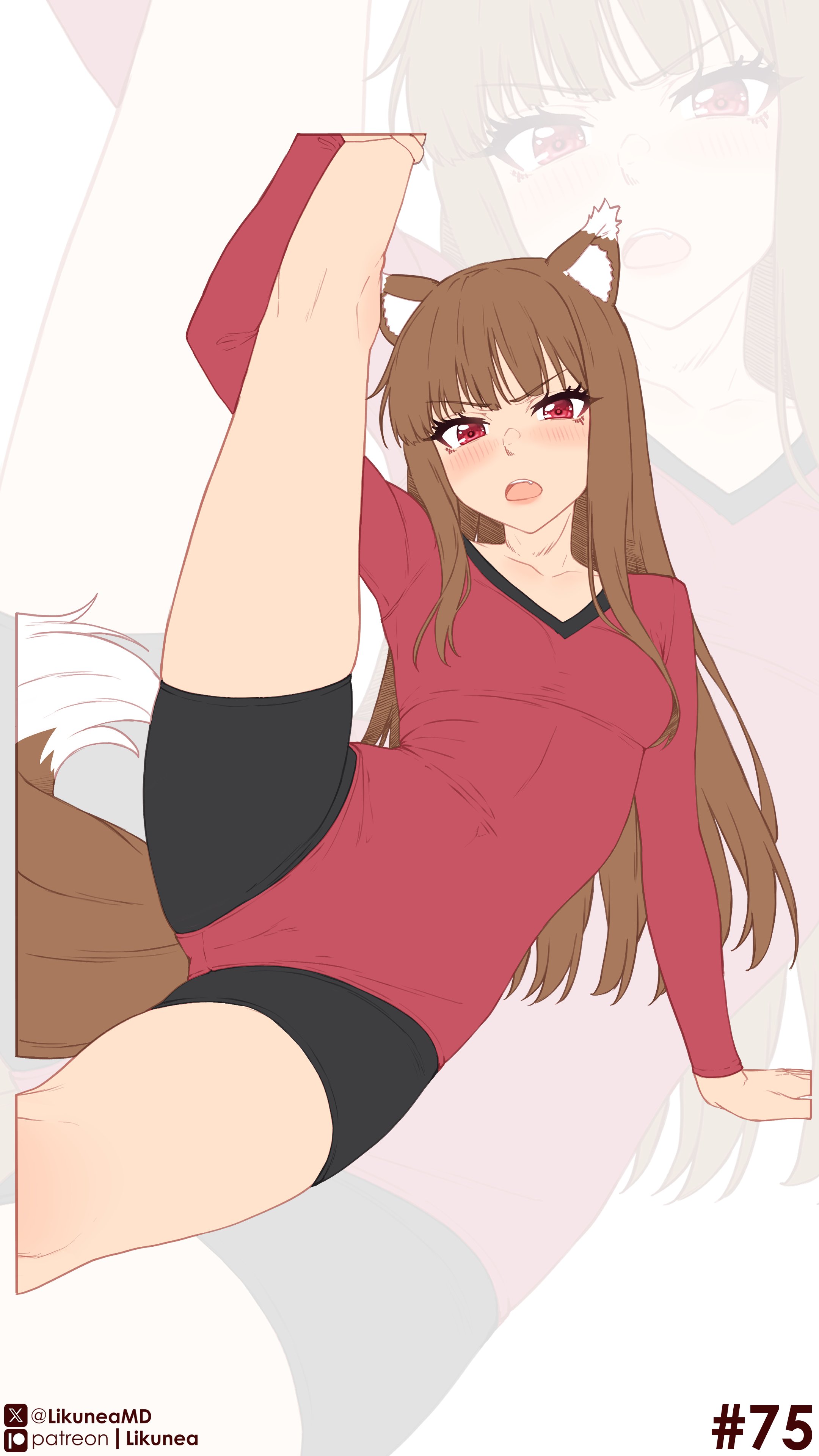 1girls, animal ears, animal tail, black shorts, blush, breasts, brown hair, brown-haired female, cameltoe, clothed, clothed female, cute fang, female, female only, fluffy, fluffy tail, highres, hime cut, holding leg, holding leg up, holo, kemonomimi, leotard, likunea, long hair, long-haired female, looking at viewer, medium breasts, red eyes, red leotard, red-eyed female, shorts, sole female, spice and wolf, tagme, tail, wolf ears, wolf girl, wolf tail