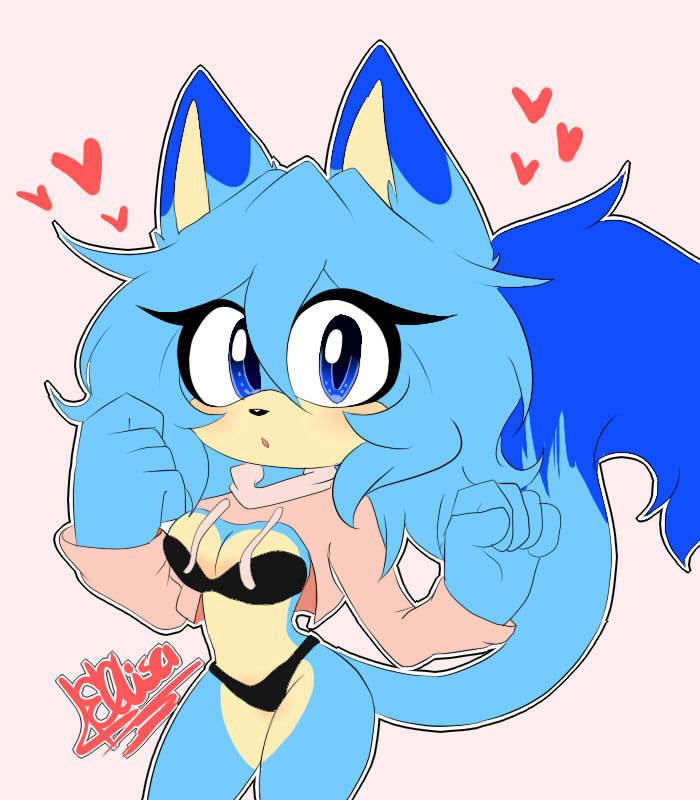bikini black_bra black_panties bra chatonblue elisa_muar_the_cat furry furry_female mobian mobian_(species) only_girl panties sonic_(series) sweater