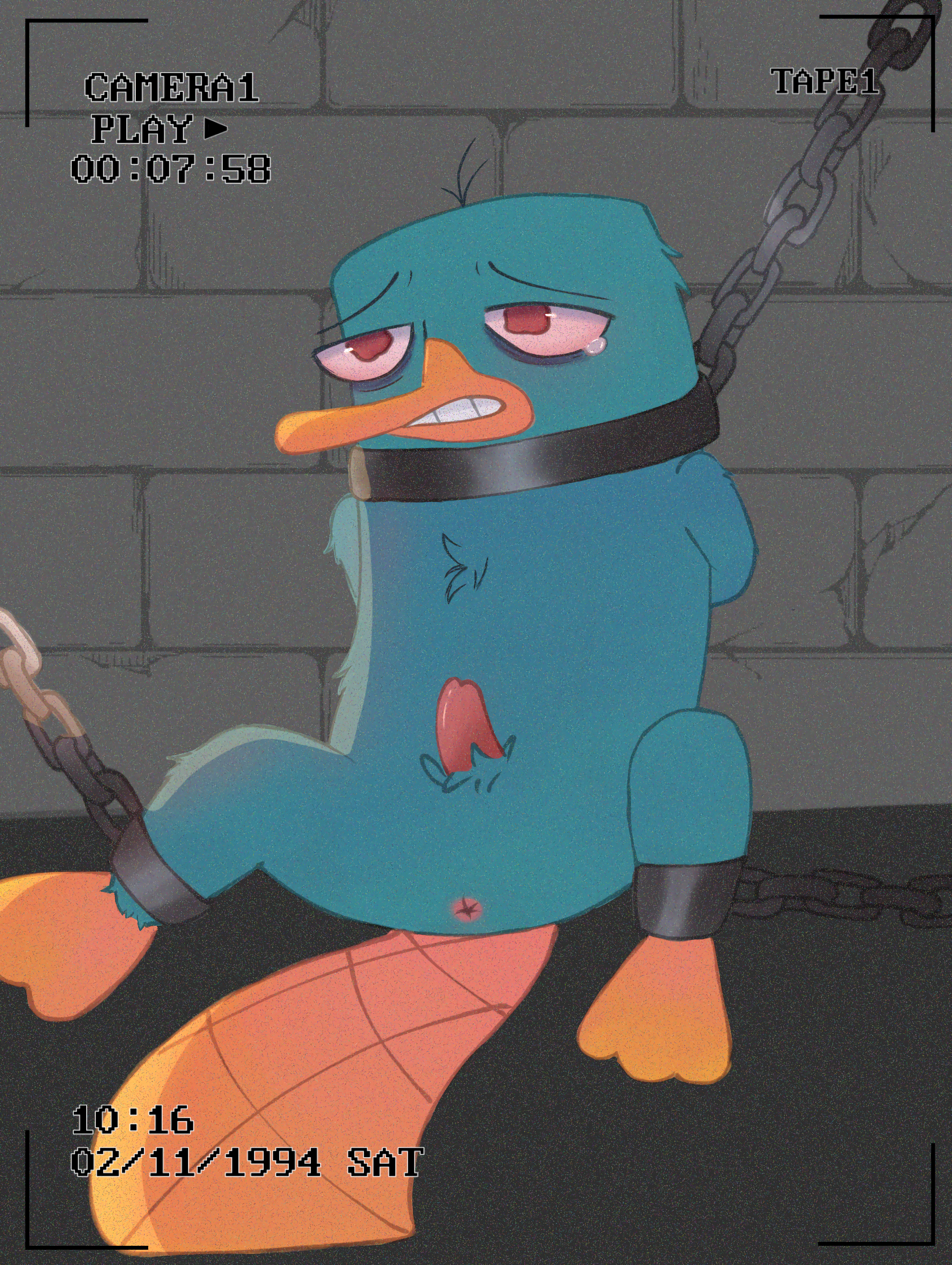 Perry The Platypus hentai videos, GIFs, and images | Rule 34 App