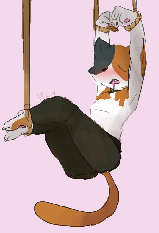 calico_cat clothed kit_(fortnite) tied_up