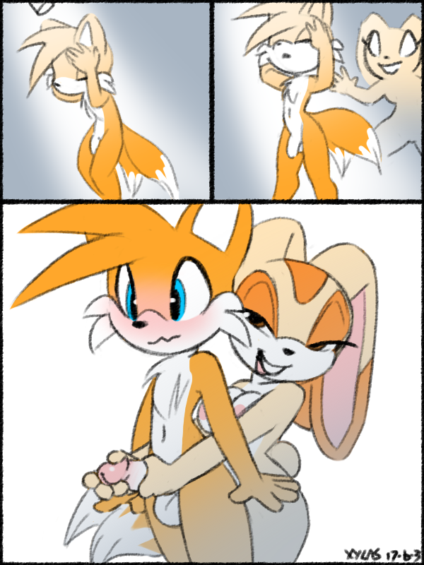 anthro balls breasts comic cream_the_rabbit duo female fur furry furry_only handjob male male/female nipple penis reacharound shower sonic_(series) surprise tail tails xylas