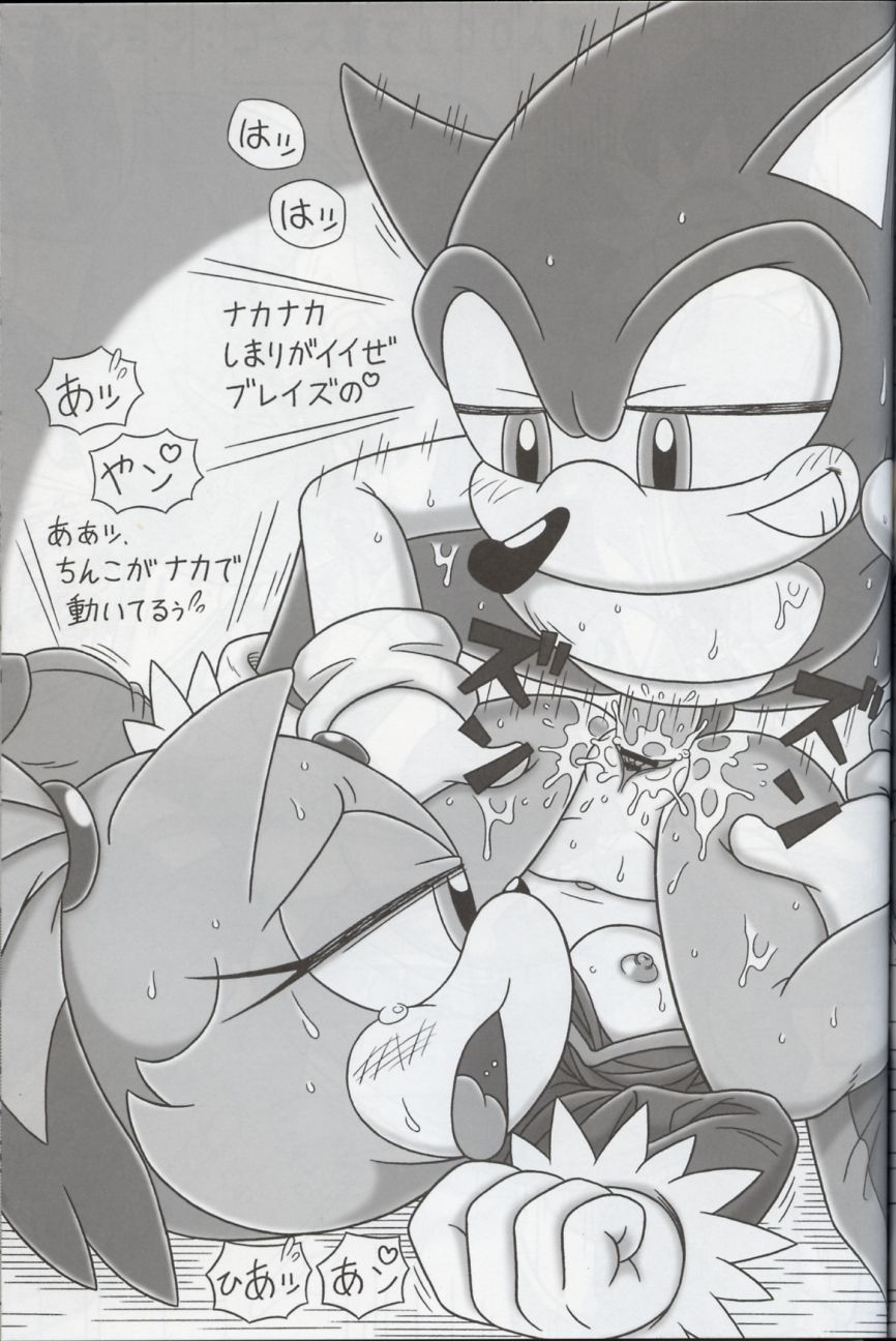 anthro blaze_the_cat breasts censored clitoris duo feline female furry_bomb greyscale half-closed_eyes hedgehog hi_res japanese_text karate_akabon lying male mammal missionary_position monochrome mostly_nude naked nipples nude on_back penetration penis pussy sex smile sonic_(series) sonic_the_hedgehog straight text vaginal_penetration