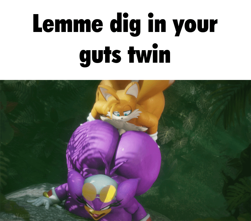 3d 3d_(artwork) 3d_animation animated avian backshots caption chubby chubby_anthro chubby_female chubby_femboy chubby_male fat_ass fat_female femboy femboy_on_female gif meme meme_caption mobian mobian_(species) sonic_(series) start_digging_in_yo_butt_twin tails_the_fox teapot_(body_type) thick_thighs vulkyasha wave_the_swallow