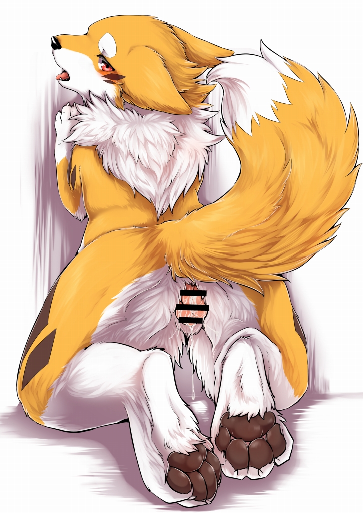 4_toes against_wall animal_genitalia anthro ass black_nose black_pawpads blush brown_fur brown_markings canine censor_bar censored dipstick_tail facial_markings female fox fur hybrid kemono kitsuneinu kneeling looking_back mammal markings multicolored_tail naga_tsukune orange_fur orange_tail pawpads pink_tongue pussy raised_tail rear_view simple_background solo toes tongue tongue_out white_background white_fur white_tail