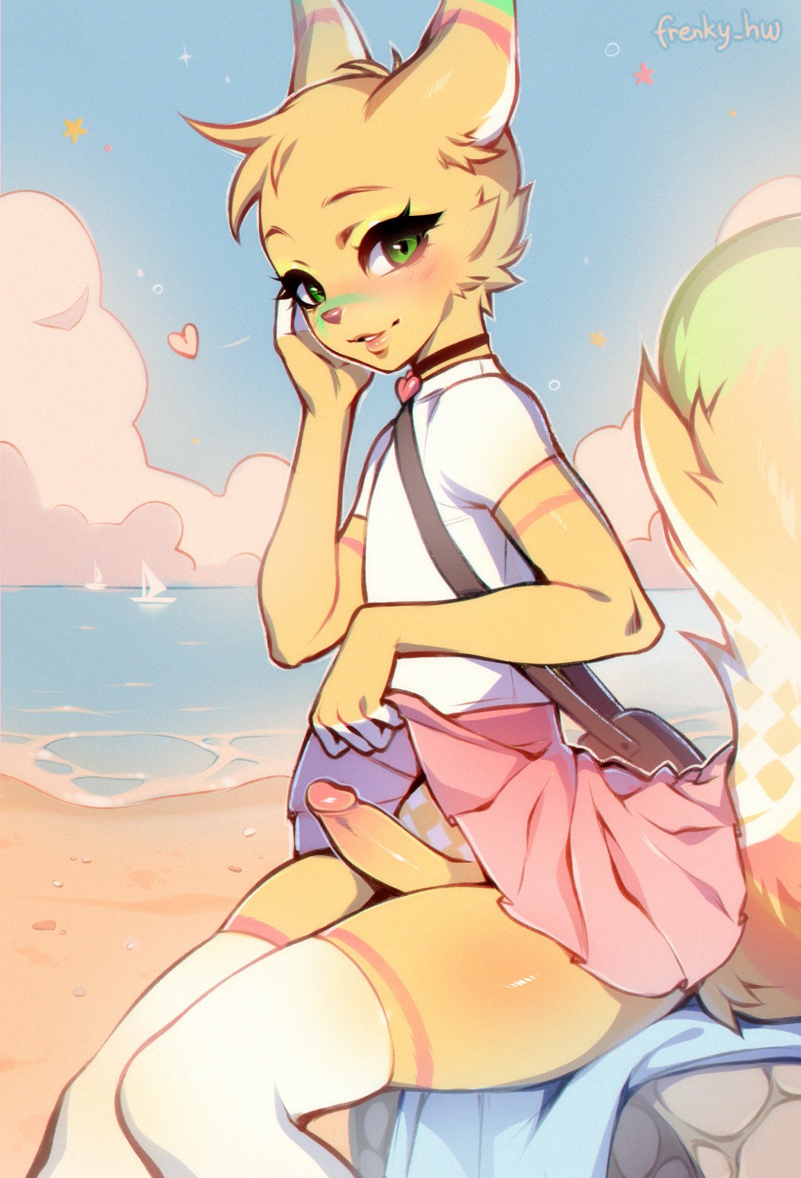 anthro beach biped bottomwear canid canine clothed clothing clothing_lift crossdressing detailed_background erection femboy frenky_hw genitals hair hi_res legwear male male_only mammal no_underwear penis skirt skirt_lift solo solo_male thick_thighs thigh_highs